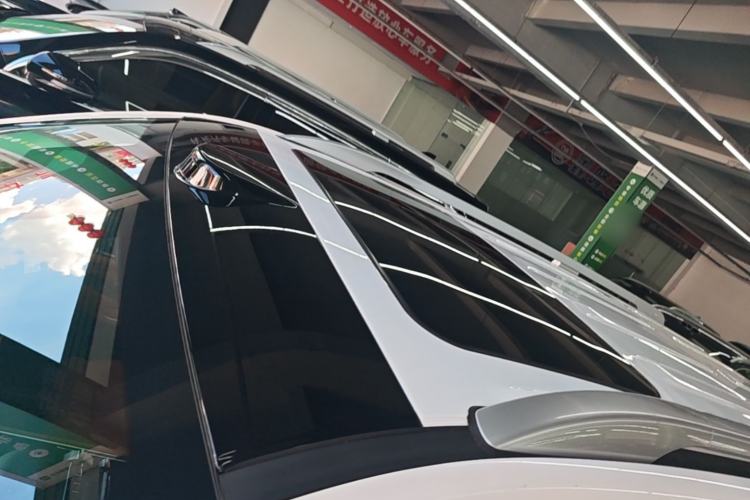 Used Tank 500 New Energy 2026 Model—Hi4-Z Smart Enjoyment Version Roof