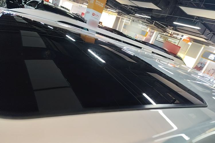 Used Tank 500 New Energy 2026 Model—Hi4-Z Smart Enjoyment Version Roof