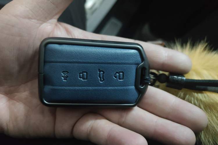 Used Tank 500 New Energy 2026 Model—Hi4-Z Smart Enjoyment Version Vehicle Key