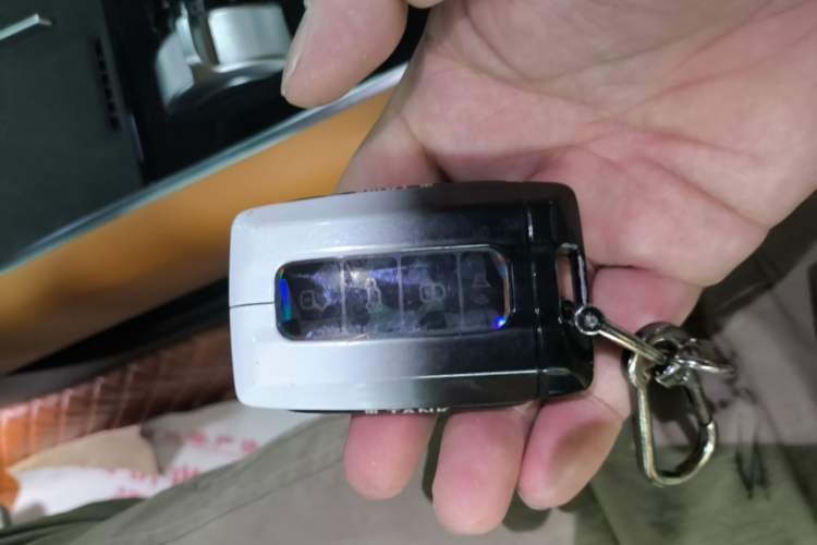 Used Tank 500 New Energy 2026 Model—Hi4-Z Smart Enjoyment Version Vehicle Key