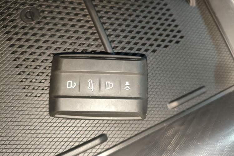 Used Tank 700 New Energy 2024 Hi4-T Extreme Edition Vehicle Key