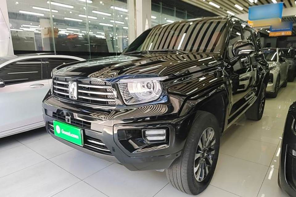 Tank 700 New Energy 2024