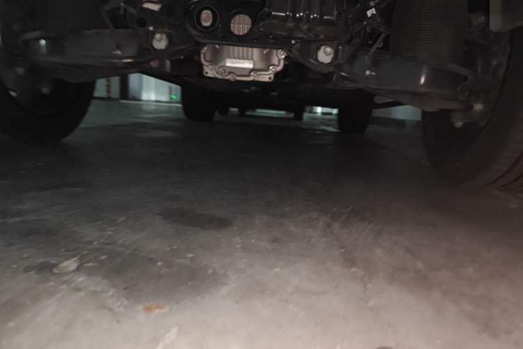 Used Tank 700 New Energy 2024 Hi4-T Extreme Edition Chassis Rear