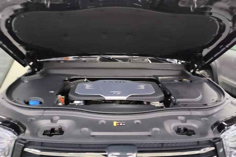 Used Tank 700 New Energy 2024 Hi4-T Extreme Edition Engine Bay
