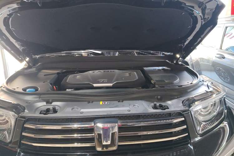 Used Tank 700 New Energy 2024 Hi4-T Extreme Edition Engine Bay