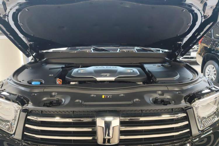 Used Tank 700 New Energy 2024 Hi4-T Extreme Edition Engine Bay