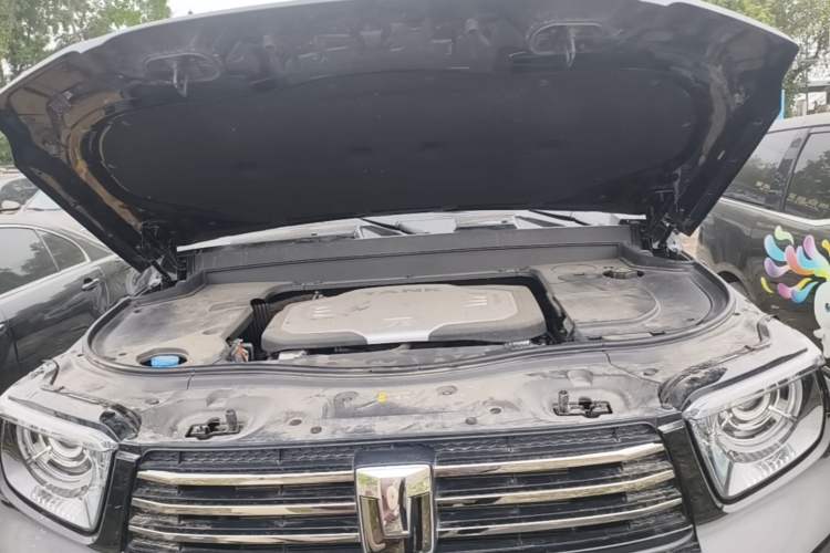 Used Tank 700 New Energy 2024 Hi4-T Extreme Edition Engine Bay