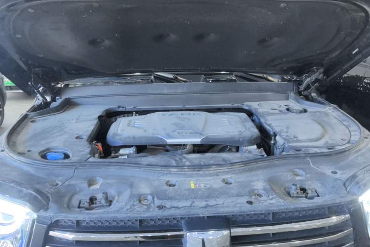 Used Tank 700 New Energy 2024 Hi4-T Ultimate Edition Engine Bay