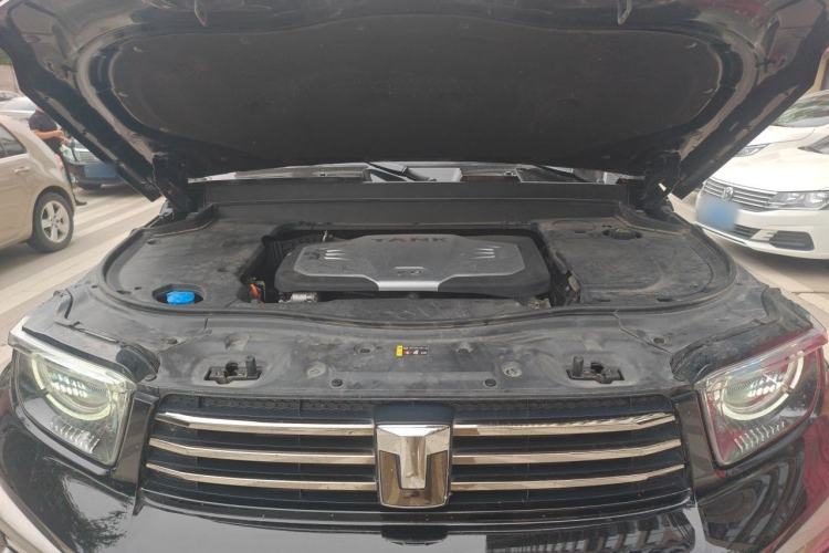 Used Tank 700 New Energy 2024 Hi4-T Extreme Edition Engine Bay