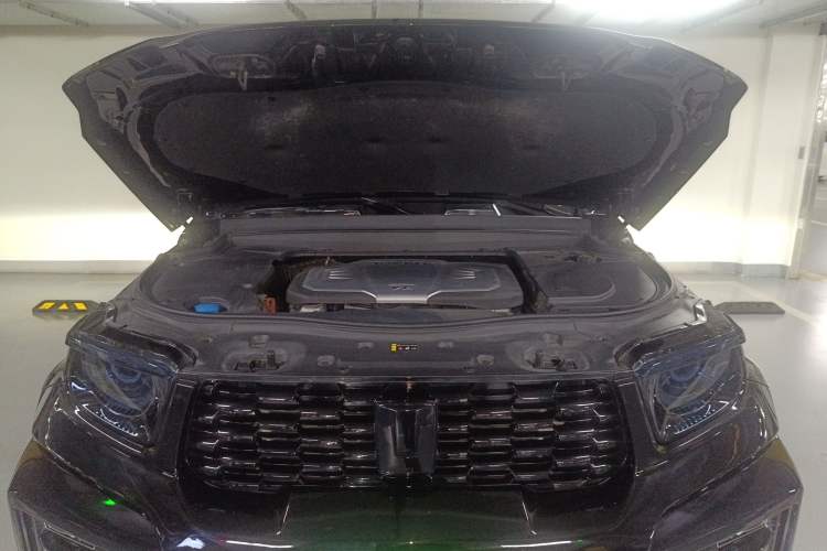 Used Tank 700 New Energy 2024 Hi4-T Extreme Edition Engine Bay