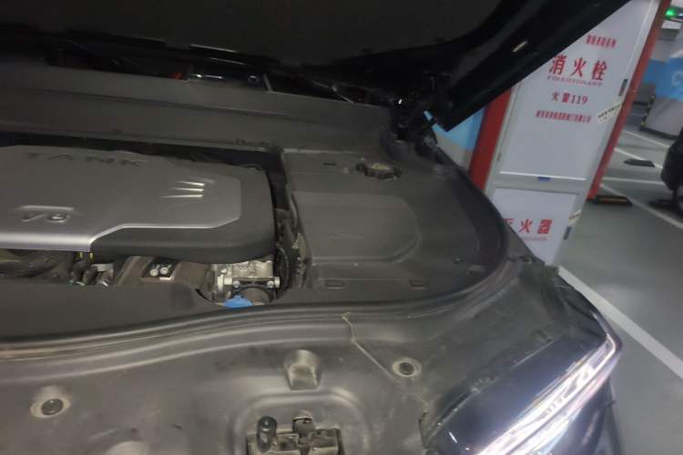 Used Tank 700 New Energy 2024 Hi4-T Extreme Edition Engine Bay Left