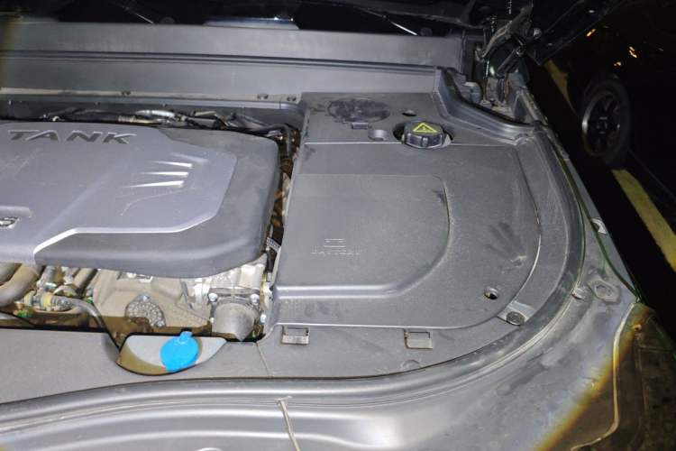 Used Tank 700 New Energy 2024 Hi4-T Extreme Edition Engine Bay Left