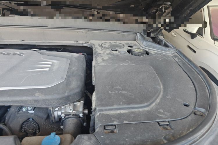 Used Tank 700 New Energy 2024 Hi4-T Extreme Edition Engine Bay Left