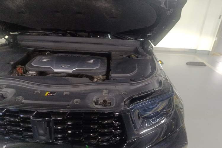 Used Tank 700 New Energy 2024 Hi4-T Extreme Edition Engine Bay Left