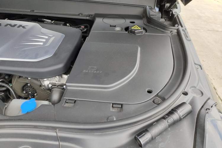 Used Tank 700 New Energy 2024 Hi4-T Extreme Edition Engine Bay Left