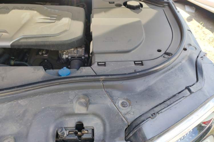 Used Tank 700 New Energy 2024 Hi4-T Extreme Edition Engine Bay Left