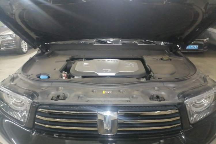Used Tank 700 New Energy 2024 Hi4-T Extreme Edition Engine Bay