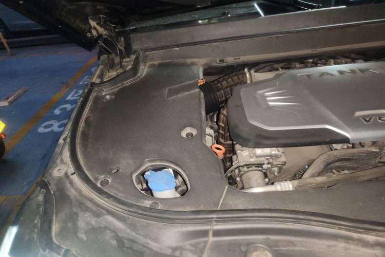 Used Tank 700 New Energy 2024 Hi4-T Ultimate Edition Engine Bay Right