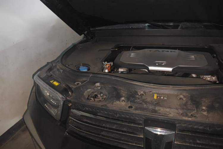 Used Tank 700 New Energy 2024 Hi4-T Extreme Edition Engine Bay Right