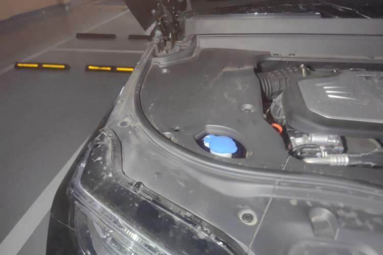 Used Tank 700 New Energy 2024 Hi4-T Extreme Edition Engine Bay Right