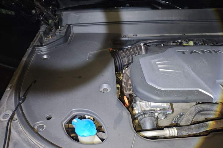 Used Tank 700 New Energy 2024 Hi4-T Extreme Edition Engine Bay Right