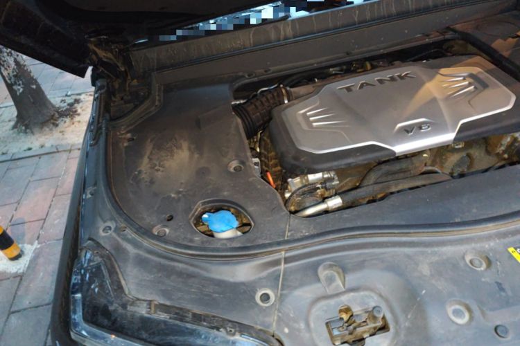 Used Tank 700 New Energy 2024 Hi4-T Extreme Edition Engine Bay Right