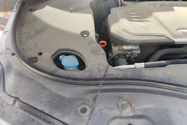 Used Tank 700 New Energy 2024 Hi4-T Extreme Edition Engine Bay Right