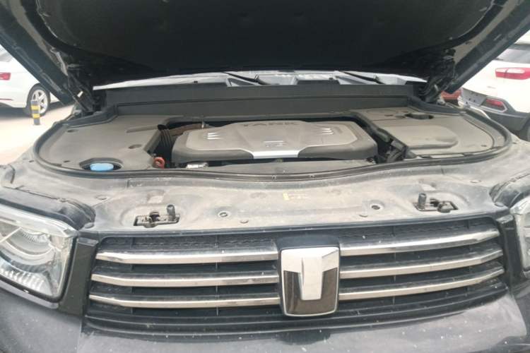 Used Tank 700 New Energy 2024 Hi4-T Extreme Edition Engine Bay