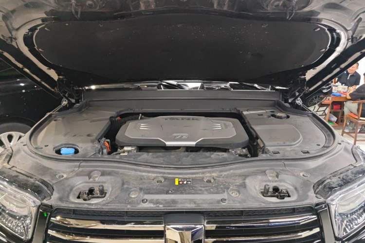 Used Tank 700 New Energy 2024 Hi4-T Extreme Edition Engine Bay