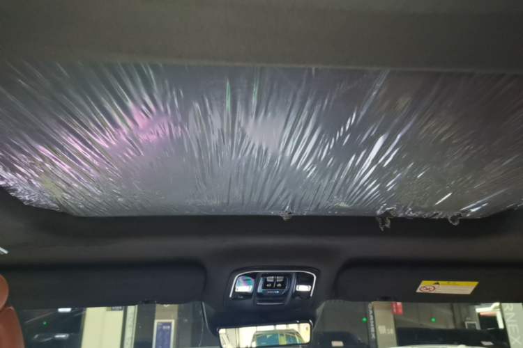 Used Tank 700 New Energy 2024 Hi4-T Extreme Edition Headliner