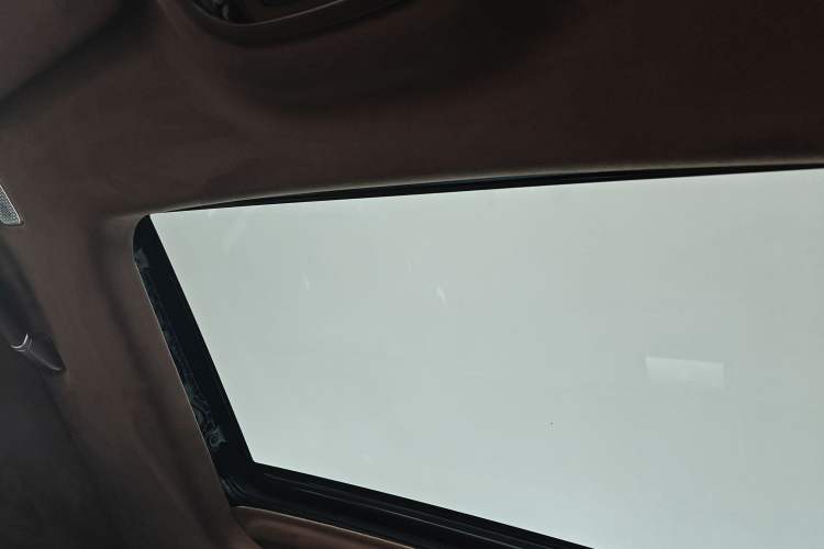 Used Tank 700 New Energy 2024 Hi4-T Extreme Edition Headliner