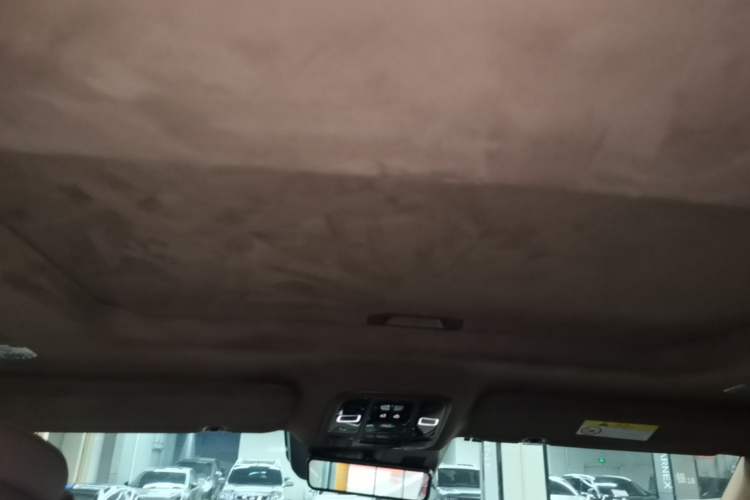 Used Tank 700 New Energy 2024 Hi4-T Extreme Edition Headliner
