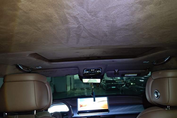 Used Tank 700 New Energy 2024 Hi4-T Extreme Edition Headliner