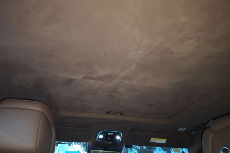 Used Tank 700 New Energy 2024 Hi4-T Extreme Edition Headliner