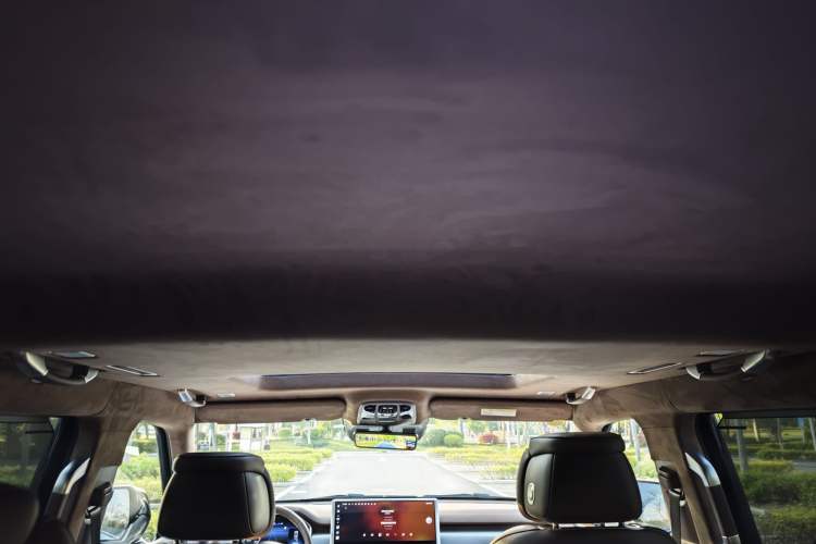 Used Tank 700 New Energy 2024 Hi4-T Extreme Edition Headliner