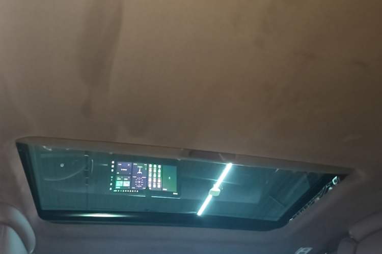 Used Tank 700 New Energy 2024 Hi4-T Extreme Edition Headliner