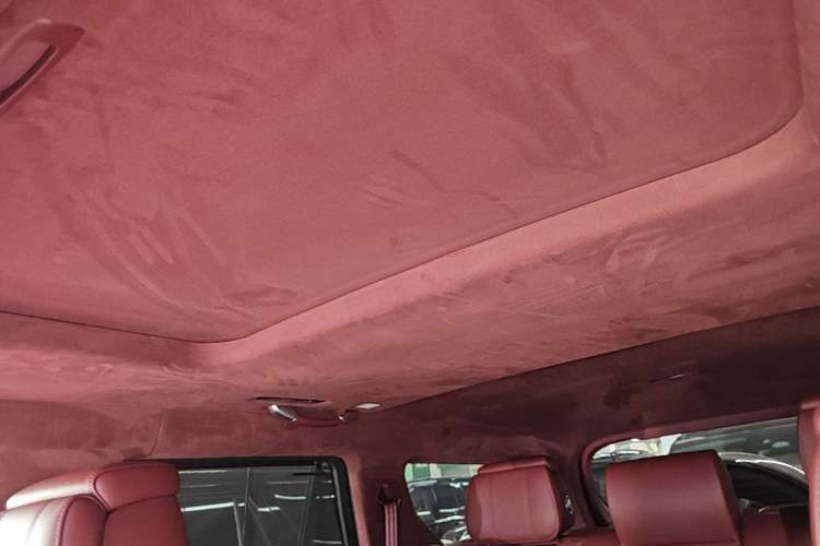 Used Tank 700 New Energy 2024 Hi4-T Extreme Edition Headliner