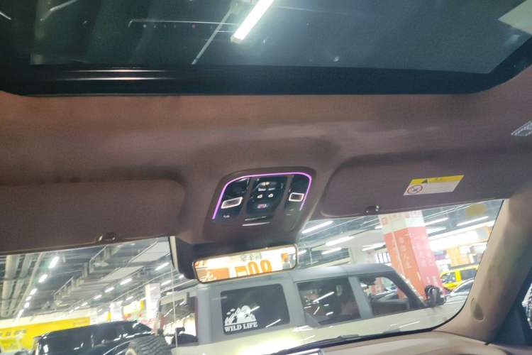 Used Tank 700 New Energy 2024 Hi4-T Extreme Edition Headliner