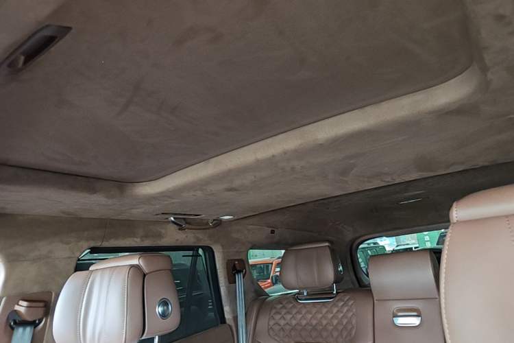 Used Tank 700 New Energy 2024 Hi4-T Extreme Edition Headliner