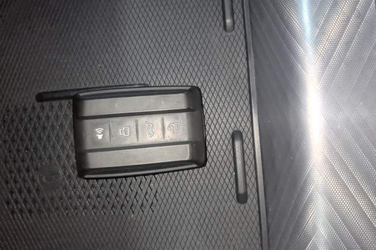 Used Tank 700 New Energy 2024 Hi4-T Ultimate Edition Interior 1