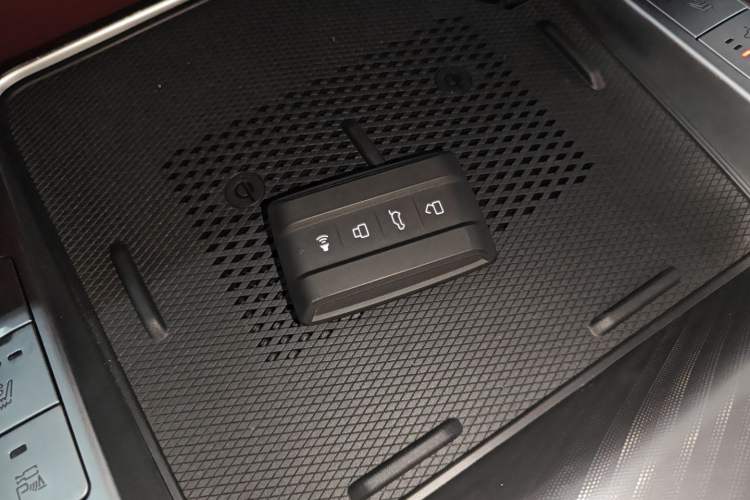 Used Tank 700 New Energy 2024 Hi4-T Extreme Edition Interior 1