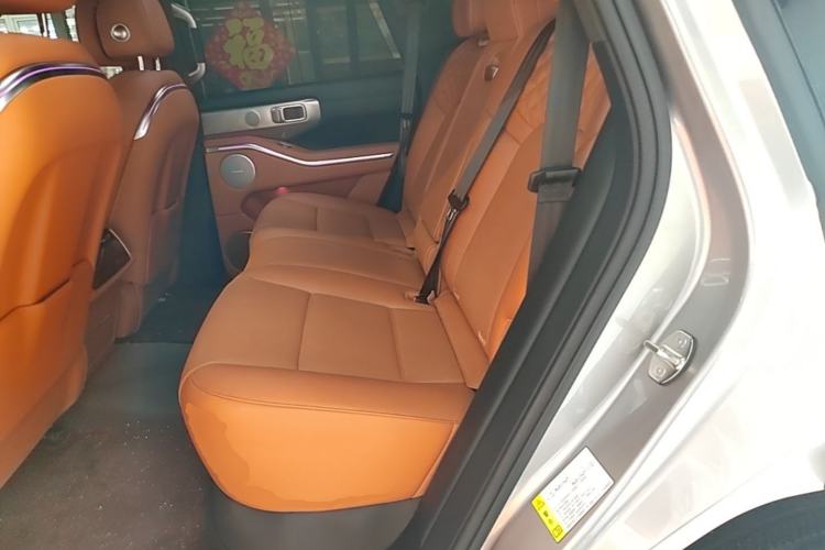 Used Tank 700 New Energy 2024 Hi4-T Extreme Edition Left Rear Seat