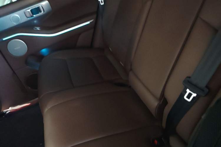 Used Tank 700 New Energy 2024 Hi4-T Extreme Edition Left Rear Seat