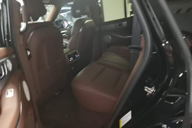 Used Tank 700 New Energy 2024 Hi4-T Extreme Edition Left Rear Seat