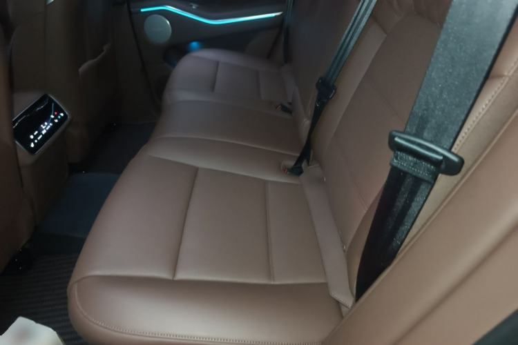 Used Tank 700 New Energy 2024 Hi4-T Extreme Edition Left Rear Seat