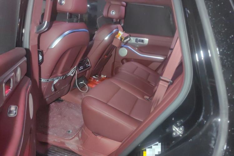 Used Tank 700 New Energy 2024 Hi4-T Extreme Edition Left Rear Seat