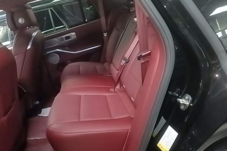 Used Tank 700 New Energy 2024 Hi4-T Extreme Edition Left Rear Seat