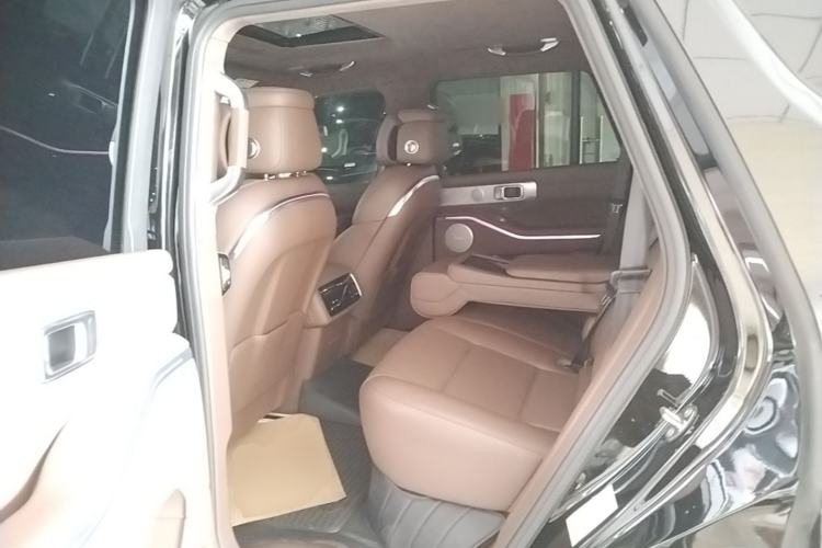 Used Tank 700 New Energy 2024 Hi4-T Ultimate Edition Left Rear Seat