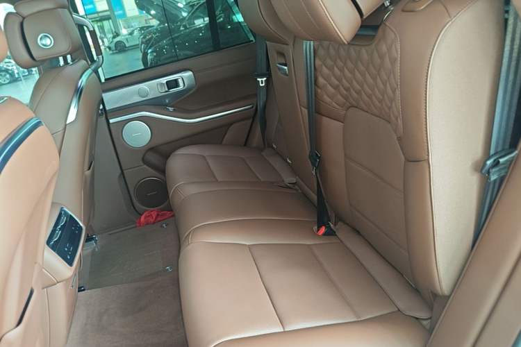 Used Tank 700 New Energy 2024 Hi4-T Extreme Edition Left Rear Seat
