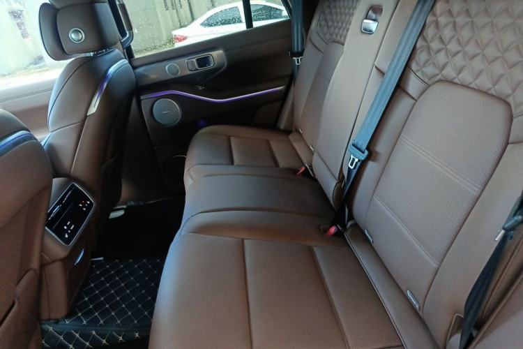 Used Tank 700 New Energy 2024 Hi4-T Extreme Edition Left Rear Seat